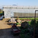 민성이네 농장 이미지