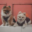 씨유덕포고려점 이미지