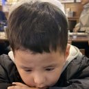요가 야간E반 | [대구 여행] 7년 만의 대구, 벚꽃과 맛집 함께한 2박 3일 힐링 (부제 : 이쁜 조카! 지금처럼 이쁘게...