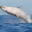 유크리에이션 이미지