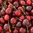 파주청과(과일) 이미지