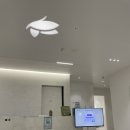 올리본의원 | 올리본의원에서 올리지오 시술생생후기