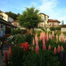 살바토레펜션 이미지