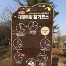 강서구치매안심센터 이미지