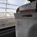 위령성월이라 용감하게(?) 이미지