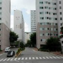 평내성심약국 이미지