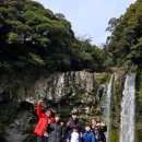 제주도 여행사 추천 현지 제주 렌트카 기사포함 버스대절 즐거워서 최고