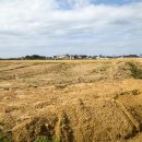 자경목장 이미지