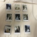 금오산낙협동물병원 | 6월 7일 - 25일