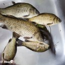 구만리로 이미지