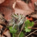 성남시립식물원 이미지