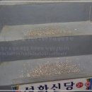 괴정동신점 성화신당에서 경험한 특별한 운세 상담 후기!