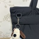 흰곰과멍멍이