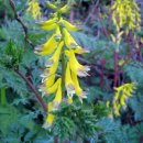 자연으로Ⅰ 이미지