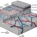 청암한의원 이미지