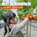 [대나무] 소풍바구니 만들기 | 경기도 용인 아기랑 실내 딸기체험 농장 추천 동물먹이주기 후기