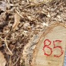 은평-085 이미지