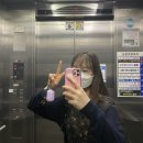 다미국시 이미지