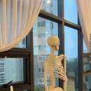 동홍동-17 이미지