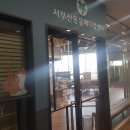 서부산동물메디컬센터 네이버블로그