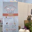 일산 슈퍼멍멍 이미지