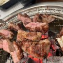 돼지랑한판승부