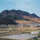 석탄1 이미지