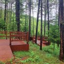 옥화자연휴양림 이미지