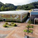 우포 잠자리 나라 이미지