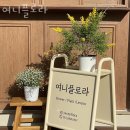 오산동꽃집 여니플로라 가격 위치 영업시간