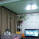 강화읍-14 이미지