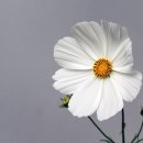 힐링 홈카페 이미지