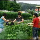 은미농장 이미지