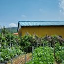 내서읍경로당 이미지