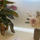 (주)산동개발 이미지