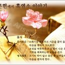 염소한마리 이미지