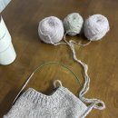 대바늘 뜨개 | 대바늘 뜨개 후기 | 강아지 옷 뜨기 연습 기록