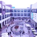 BOB 애견용품 아울렛 | 김포 현대 아울렛 푸드코트 H'kitchen 애견 동반 가능 펫 테라스 이용후기, 메뉴 추천