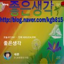 새론 Daum카페