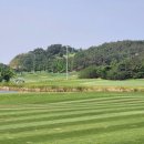 Oh영천CC 네이버블로그