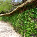 영랑생가 이미지