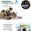 제주헬로우펫 이미지