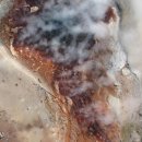 Little Bear Big Trip 이미지