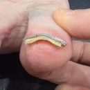 청담탑정형외과의원 이미지