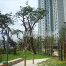 더샵파크리치아파트 이미지