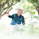 임하농장 이미지