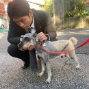 안 어울리는 짓을 하면 안 어울리는 일이 벌어진다