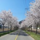 수하보건진료소 이미지