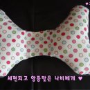 나비이벤트 이미지