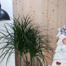 원고개 다락방 이미지